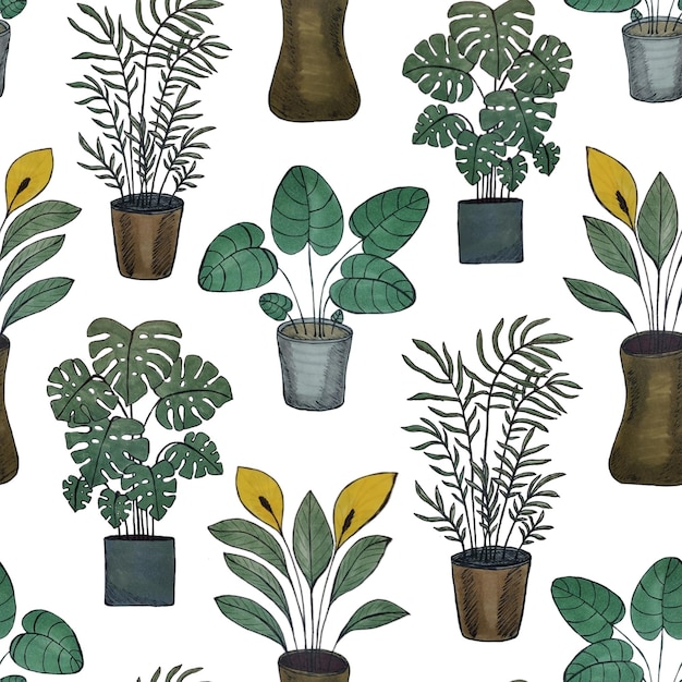 Seamless pattern with house plants in pots.  For printing on fabric, paper and more.