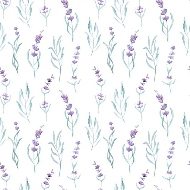 Seamless pattern with lavender flowers on a white background