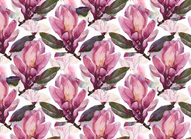 Seamless pattern with magnolia on a white background