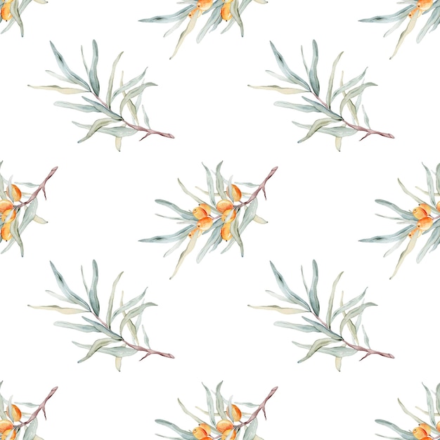 Seamless pattern with orange sea buckthorn Sea buckthorn for healthy life and design background