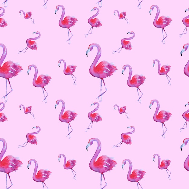 Seamless pattern with pink flamingoes