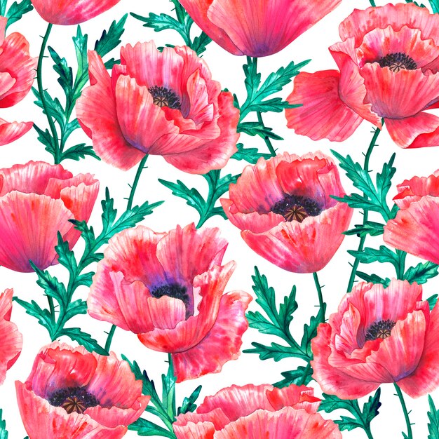 Seamless pattern with red poppies