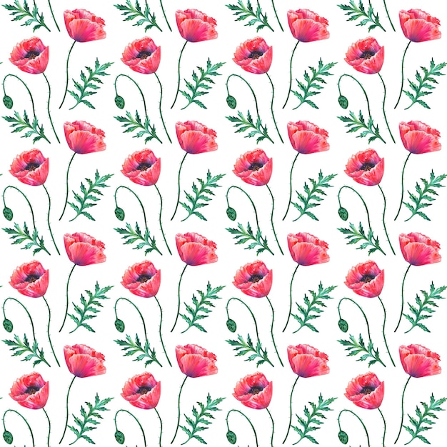 Seamless pattern with red poppy flowers Watercolor papaver Green stems and leaves Hand drawn botanical illustration On white Texture for print fabric textile wallpaper