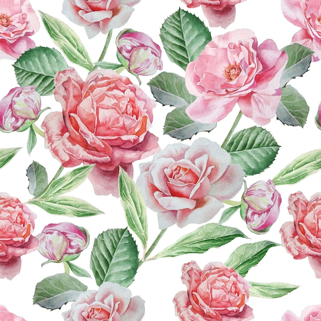 Seamless pattern with roses.