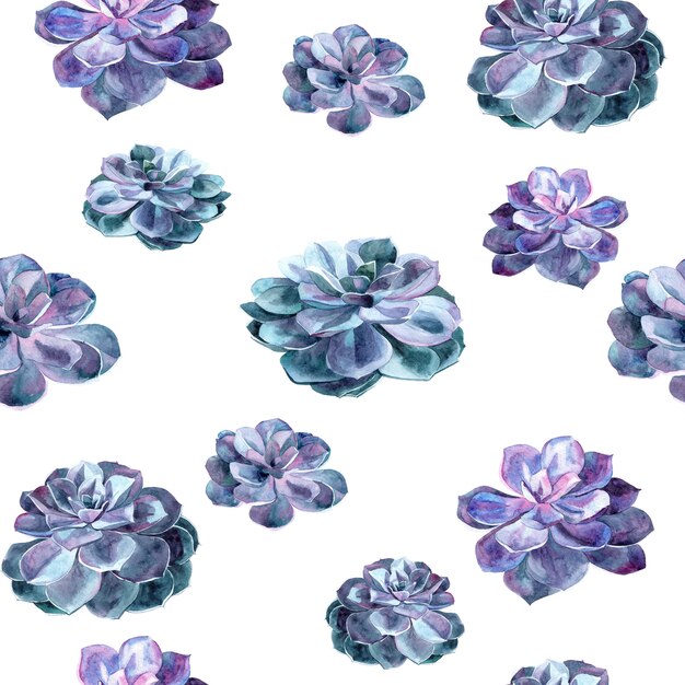 Seamless pattern with succulents plants. Hand drawing watercolor illustration.