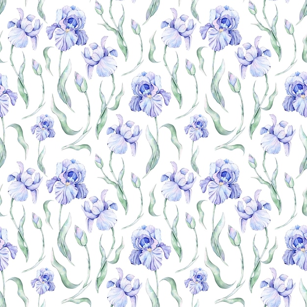 Seamless pattern with watercolor irises