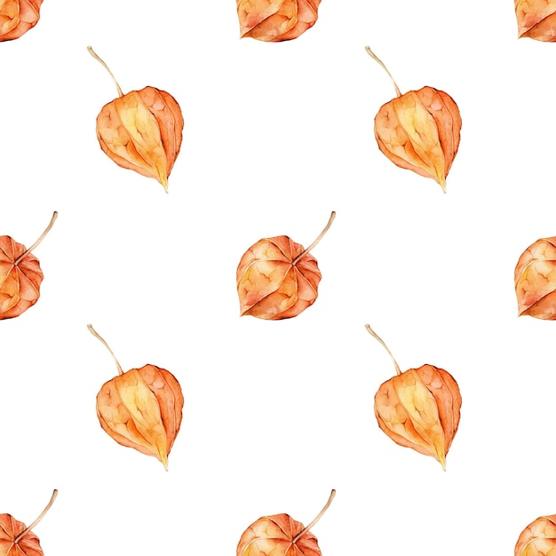 Seamless pattern with watercolor physalis Superfood orange poster Vegetable Red orange yellow Vegetarianism Autumn farm product