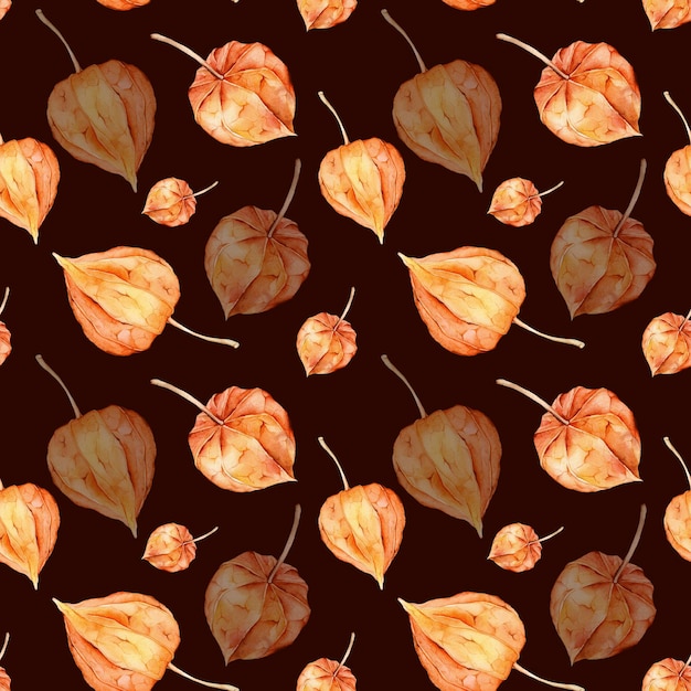 Seamless pattern with watercolor physalis Superfood orange poster Vegetable Red orange yellow Vegetarianism Autumn farm product