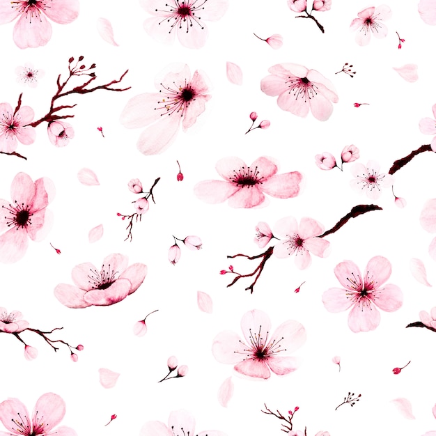 Seamless pattern with watercolor sakura branches hand painted.