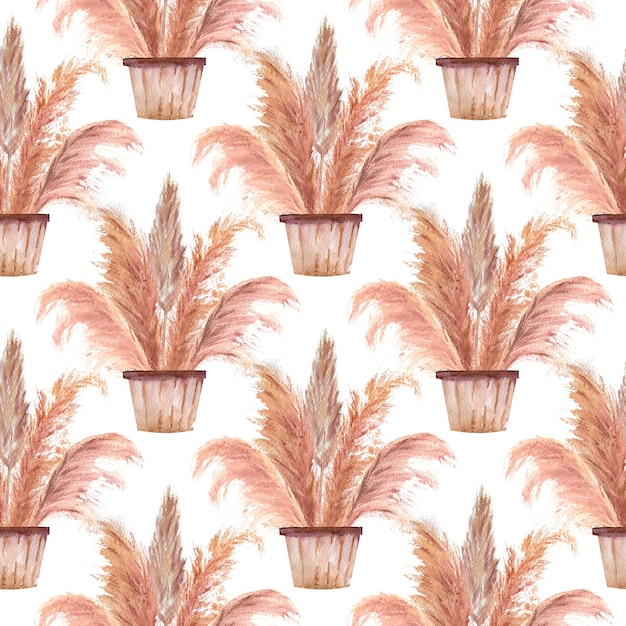 Seamless patterns with pampas grass in pots in the boho style on a white isolated background. Watercolor illustration.