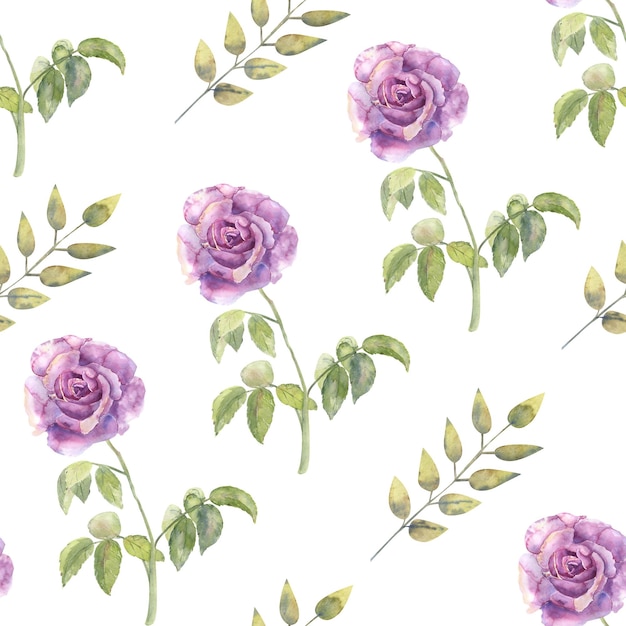 Modelli senza cuciture con rose viola e anemoni su uno sfondo bianco isolato acquerello disegnato a mano