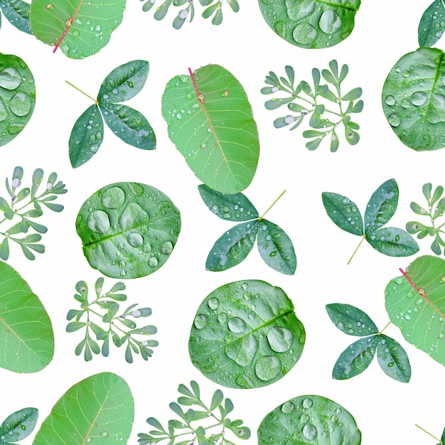 Seamless photo background for design with green leaves and water drops