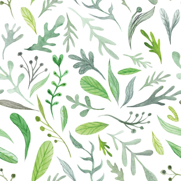 Texture estiva senza cuciture con foglie verdi isolate su sfondo bianco per il design di tessuti e carta