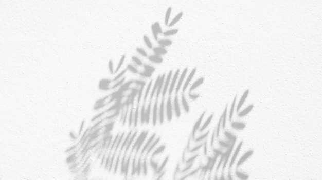 사진 backgroundx9에 대한 텍스트를 위한 공간이 있는 거친 표면과 잎 그림자의 매끄러운 질감