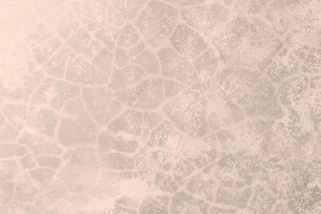 Seamless texture of white warming cement wall a rough surface with space for text for a backgroundx9