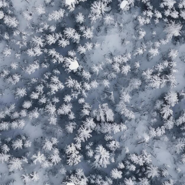 Photo seamless texture of winter forest