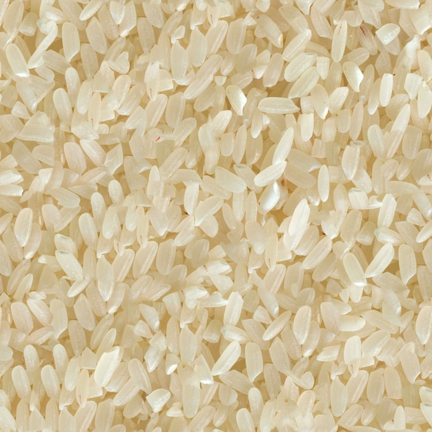 Seamless Tileable Texture of Rice.