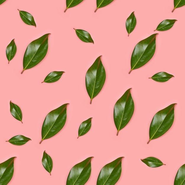 Seamless Tropical Jungle Leaves Pattern, magnolia