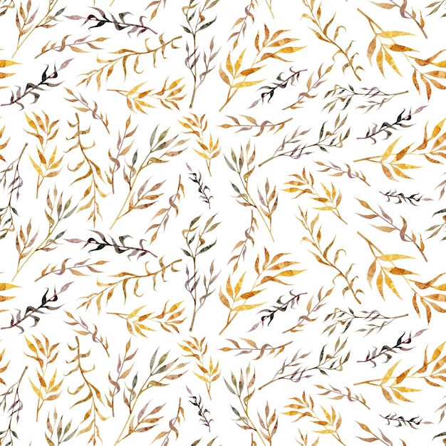 원활한 수채화 꽃 패턴 밀 spikelets 마른 잔디 황금 나뭇가지 흰색 배경에