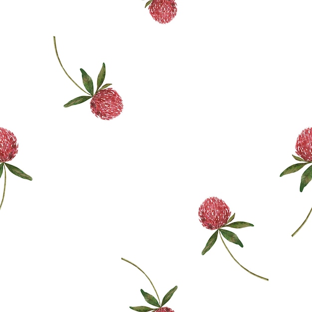섬유에 대한 흰색 배경에 원활한 수채화 패턴 클로버 꽃 최소한의 패턴