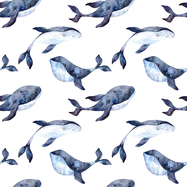 Photo seamless watercolor pattern with blue whales on a white background, watercolor illustration with a marine theme