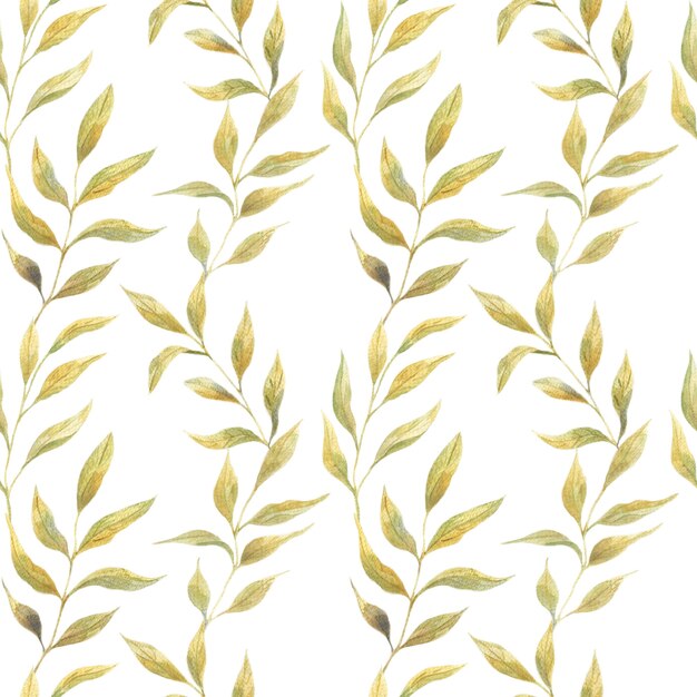 Seamless pattern acquerello con verde primavera foglie su uno sfondo bianco, piante selvatiche