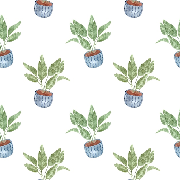 Seamless pattern acquerello con piante d'appartamento-banana fatta in casa su sfondo bianco, illustrazione dell'acquerello per la casa