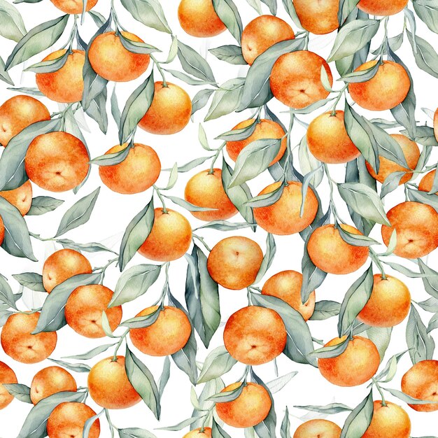 Seamless watercolour citrus fruits and leaves pattern Green leaves and orange fruits on white background Seamless mandarin and oranges watercolour illustration