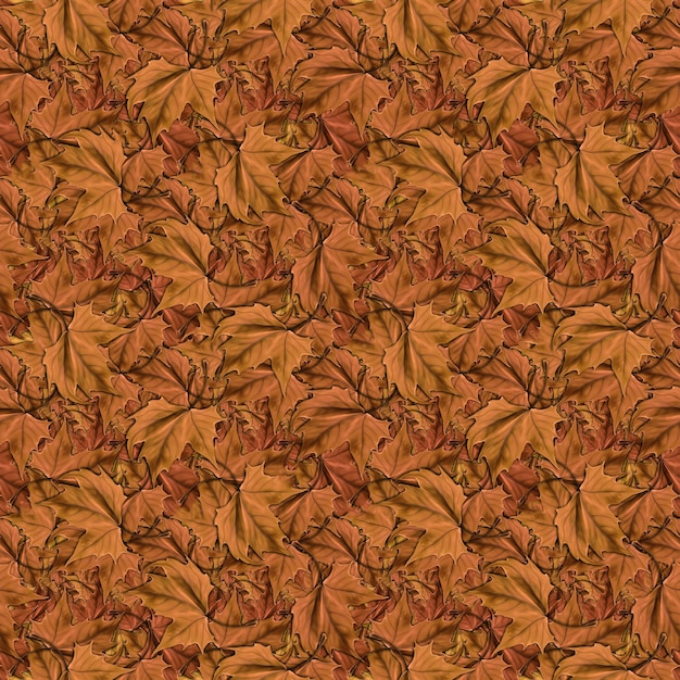 Seamlessly autumn leafs background. Fallen autumn leaves seamless pattern