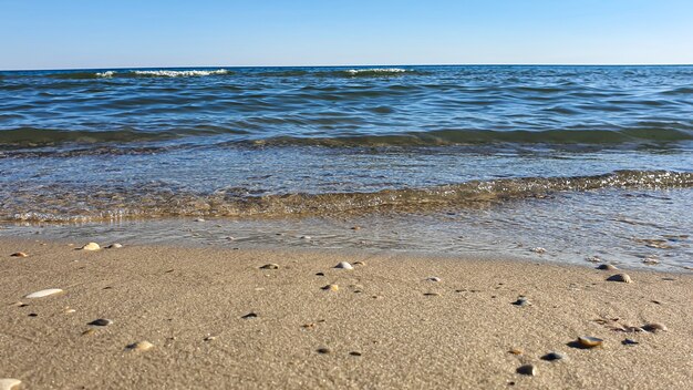 シースケープ。水の紺碧の色、波打ち際の波。