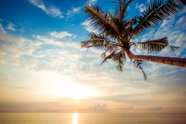 Seascape of beautiful tropical beach with palm tree at sunrise