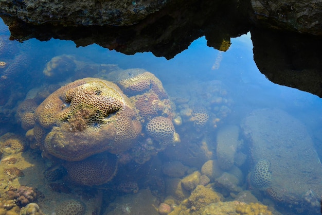 Sawarna 해변의 산호 해변 자연 보호 구역의 바다 경치