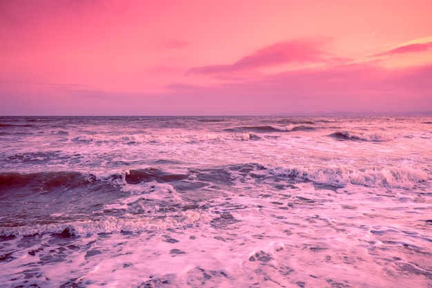 Seascape in the early morning. Sunrise over the sea. Nature landscape in trendy Pacific Pink color