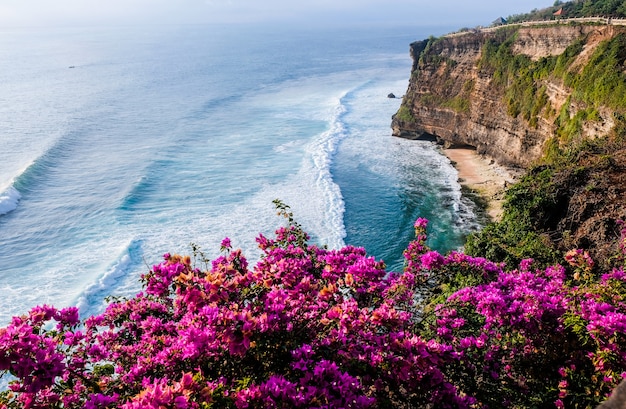 Vista sul mare, oceano al tramonto. fiori sul fondo del paesaggio dell'oceano vicino al tempio al tramonto, bali, indonesia di uluwatu.