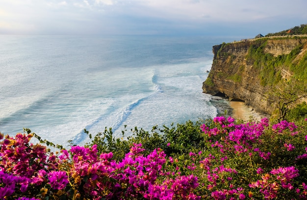 Vista sul mare, oceano al tramonto. fiori sul fondo del paesaggio dell'oceano vicino al tempio al tramonto, bali, indonesia di uluwatu.