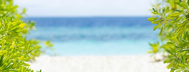 Photo seascape and sandy beach summer background. defocused sea water surface, white sand and green tropical tree on the sun. paradise beach banner