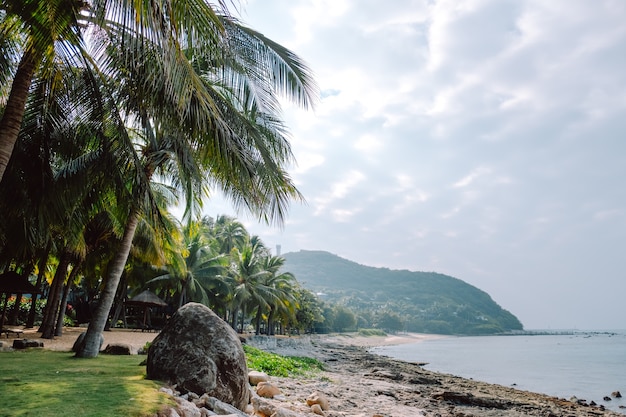 Seascape, seashore on a tropical island, palm trees and clouds, reef beach