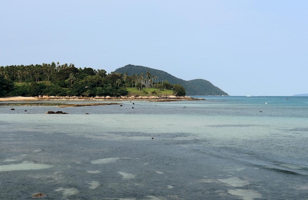 暖かい海のほとりの海の景色