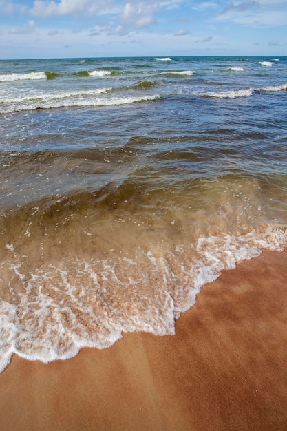 Морской пейзаж летом на Балтийском море