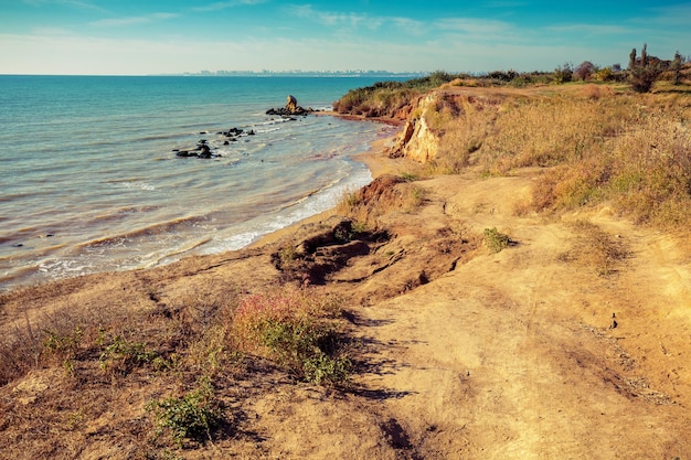 Seascape on a sunny day Clay steep coast Seashore in summer