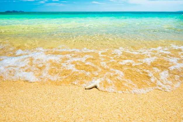 砂浜の熱帯のビーチ、白い波、ターコイズブルーの海と青い空のサンゴと海の景色