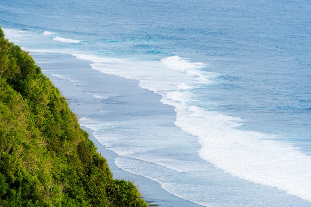 Фото Морской пейзаж с огромными волнами и лесом