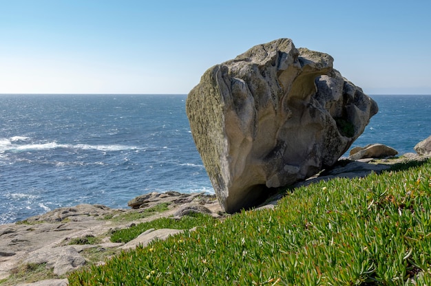 사진 화창한 날 전경에 바위와 녹색 식물이 있는 바다