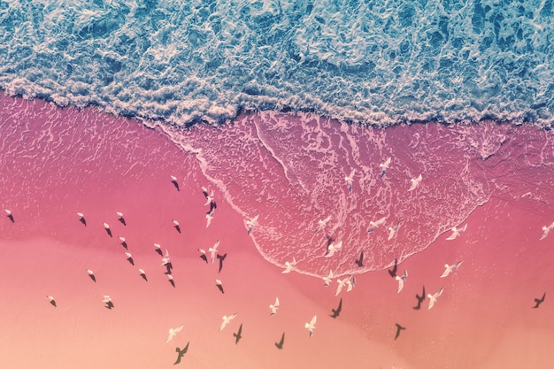 Seascape with seagulls on a sandy beach Top view of sand and waves