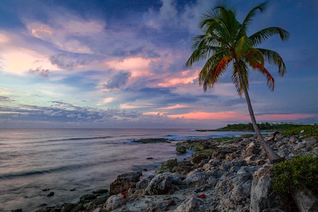 Seascape of the Yukatan Peninsula