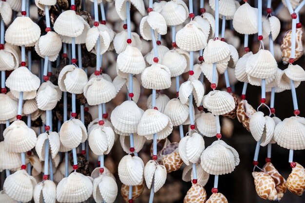 Seashell decorations