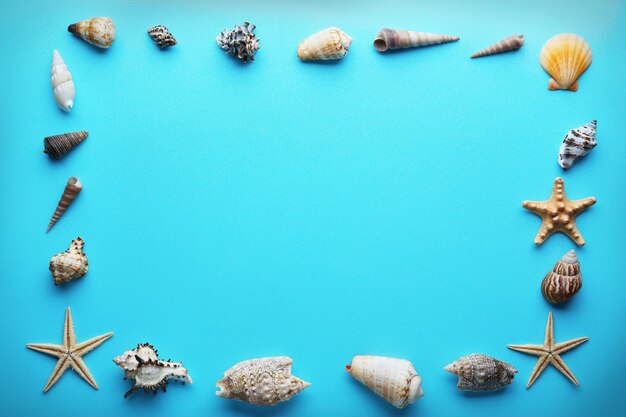 Seashell frame on a blue background