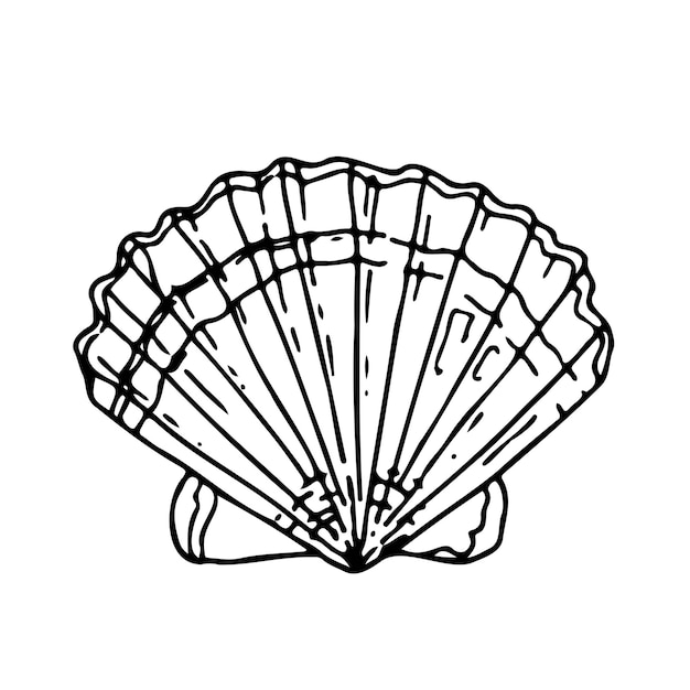 Seashell scallop Vector illustratie van met de hand getekende afbeeldingen Onderwaterdieren