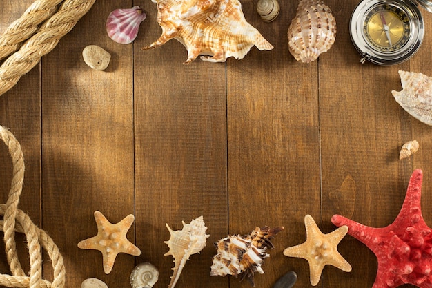 Seashell on wooden background texture