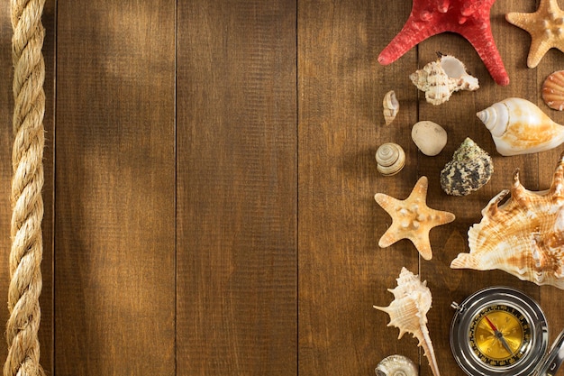 Seashell on wooden background texture